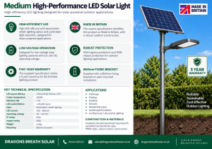 Dragons Breath Made in Britain Solar Street Light