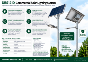 Dragons Breath commercial solar street light