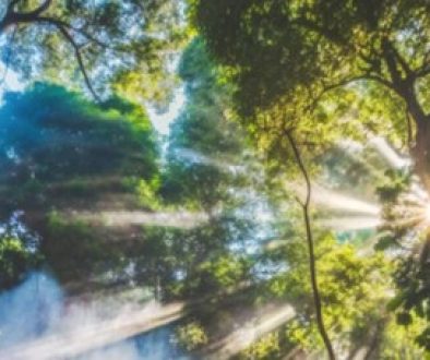 Get real on climate change