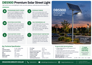 DBS900 series solar street light